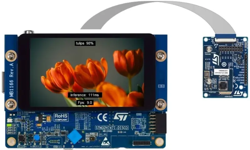 STM32 AI Model Zoo Services